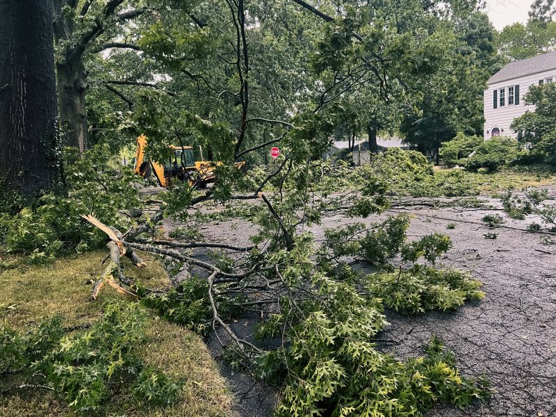 Storm Debris Removal