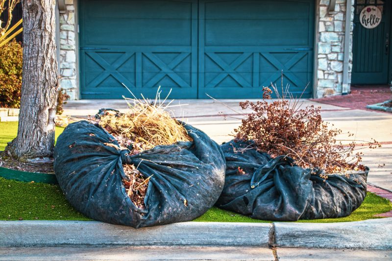Storm Debris Removal